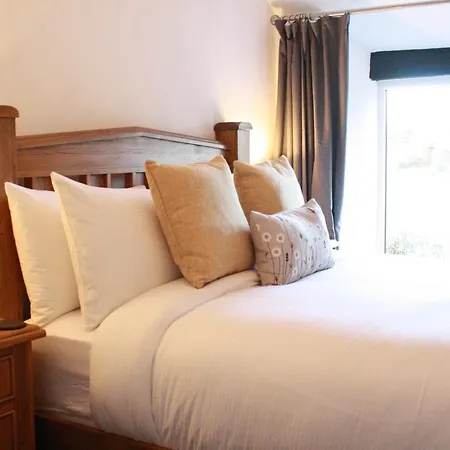 Bed & Breakfast The Black Dog *