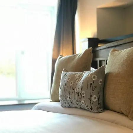 Bed and breakfast The Black Dog