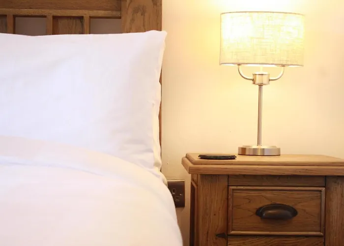 Bed & Breakfast The Black Dog