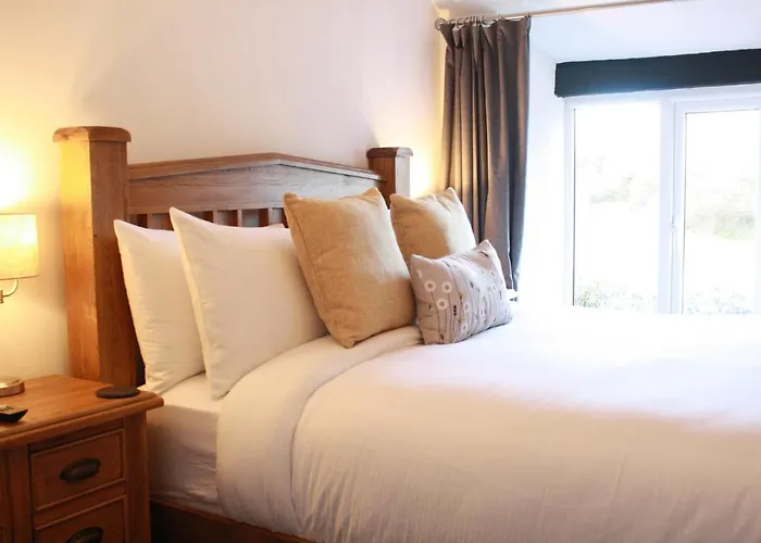 Bed & Breakfast The Black Dog 3*