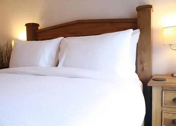 Bed & Breakfast The Black Dog