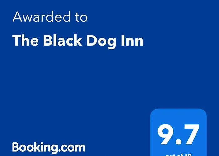 The Black Dog Dalton in Furness